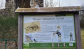 Trail Walking Châlonvillars - Châlonvillars - fort d'Essert - fort du Salbert - Photo 12