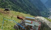 Randonnée Marche Alagna Valsesia - Alvania - Alpe Maller - Photo 13