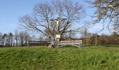 Tocht Te voet Bad Camberg - Rundwanderweg Schnepfe - Photo 1