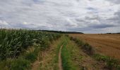 Trail Walking Viroflay - Le plateau  de Saclay, de Viroflay à Igny - Photo 11