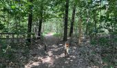 Trail Walking Kalmthout - Heide 24,2 km - Photo 5