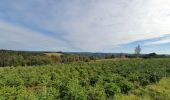 Tocht Stappen Bouillon - rando rochehaut 8/09/2020 - Photo 16