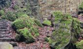 Tocht Stappen Echternach - A travers les rochers du Luxembourg  - Photo 2