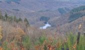 Trail Walking Bouillon - Corbion - pont de l’Epinet - Photo 5