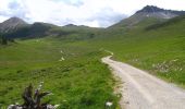 Trail On foot Scuol - Alp Astras - Plan d'Immez - Photo 6