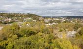 Tour Wandern Viroinval - De Nismes à Petigny par le Tienne du Lion - Photo 5