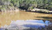 Tour Wandern Puget-sur-Argens - lieutenante Beaumeruine - Photo 5