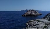 Trail Walking Marseille - calanques podestal, escut, melette - Photo 3