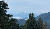 Tour Wandern Saint-Pierre-de-Chartreuse - Circuit autour de Pravouta (Saint Hilaire du Touvet) - Photo 13