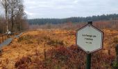 Tour Wandern Gedinne - Balade à la Croix-Scaille - Les Fanges de l'Abîme - Photo 5