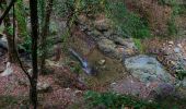 Trail On foot Framura - Vandarecca - Montaretto - Reggimonti – Bivio AV5T - Photo 1