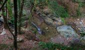 Percorso A piedi Bonassola - Bonassola - Salto della Lepre - Pastorelli - Montaretto - Photo 2