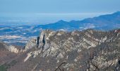 Tour Wandern Saou - Forêt de Saoû - Les Pomerolles - Photo 6