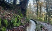 Tour Wandern Echternach - mullerthal e1 - Photo 1