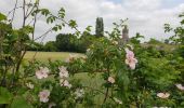 Tour Wandern Sablonceaux - abbaye de Sablonceaux  - Photo 10