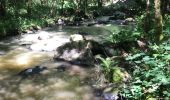 Tocht Stappen Sérandon - Barrage de la Triouzoune - Photo 3