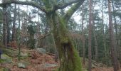 Randonnée Marche Fontainebleau - butte à guay  - Photo 8