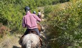 Trail Horseback riding Buoux - Provence 2025 J2 - Photo 4