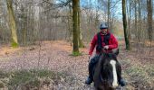 Trail Horseback riding Habay - Les 4 fils Aymon en minimisant la route et en sécurisant le départ pour les chevaux - Photo 2