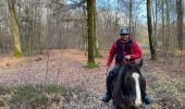 Randonnée Randonnée équestre Habay - Les 4 fils Aymon en minimisant la route et en sécurisant le départ pour les chevaux - Photo 2