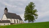 Trail On foot Sankt Oswald bei Freistadt - Panoramaweg - Mitterbach - Photo 1