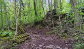 Tour Wandern Esneux - athénée . ham . ferme l'oneux . roche aux faucons . rosière . esneux  - Photo 5