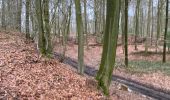 Tour Wandern Frasnes-lez-Anvaing - Saint Sauveur 19,5 km - Photo 4