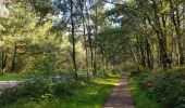 Trail Walking Gulpen-Wittem - 2021-07-01_12h32m15_730 - Photo 7