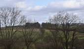 Trail Walking Baelen - 20240205 - Perkiets 6 Km - Photo 16