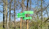 Trail Walking Guise - guise - Photo 12