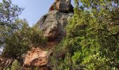 Percorso Marcia Le Muy - grottes de la Baume Renaude - Photo 1