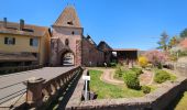 Trail Walking Rosheim - Rosheim Rosenwiller Boersch Bischenberg - Photo 9