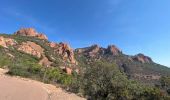 Randonnée Vélo électrique Saint-Raphaël - Le Dramont- Route de l’Esterel AR - Photo 1