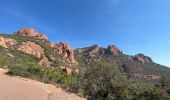 Excursión Bici eléctrica Saint-Raphaël - Le Dramont- Route de l’Esterel AR - Photo 1