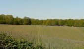 Randonnée Marche Court-Saint-Étienne - vignoble de Bousval - Photo 1