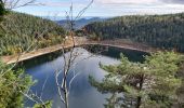 Trail Walking Orbey - Tour du Lac Blanc par le tour du Lac Noir - Photo 2