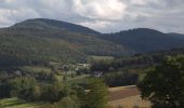 Tocht Te voet Ebersburg - Rhön-Rundweg 1 Wachholderhuette - Photo 2