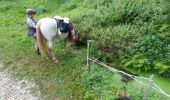 Trail Horseback riding Saint-Victor - petit tour le soleil - Photo 13