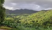 Tour Wandern Le Lorrain - Boucle Dorival - Cledelin - Carabin - Vallon - Photo 3