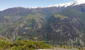 Tour Wandern Zeneggen - Circuit Zeneggen - Toerbel - chemin panoramique 05.2019 - Photo 3