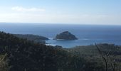 Tocht Stappen Bormes-les-Mimosas - Pas de la griotte/cabasson /l’estagnol /barrage  - Photo 1