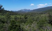 Tour Wandern Solliès-Ville - Le Petit Coudon-23-04-21 - Photo 3