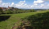 Trail Walking Boussières - Boussières crête  - Photo 2