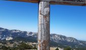 Randonnée Marche Châtillon-en-Diois - le pas des ampes de la plagne montagnette  - Photo 3