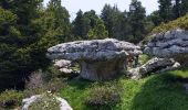 Excursión Senderismo Entremont-le-Vieux - les champignons du Pinet - Photo 1