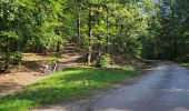 Tour Wandern La Roche-en-Ardenne - promenade 4 et 5 pour le groupe du jeudi - Photo 16