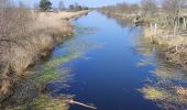 Excursión Senderismo Emmen - Bargerveen - Photo 10