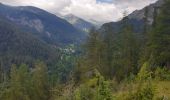 Trail Walking Villars-Colmars - Chasse - Photo 11