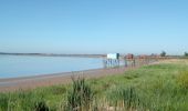 Trail Hybrid bike Rochefort - Rochefort -les marais-embouchure de la Charente  - Photo 3