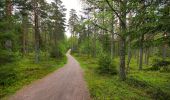 Trail On foot Unknown - Fylleryd, vitgul - Photo 4